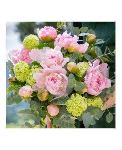 pivoines
