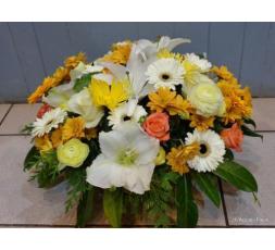 Coupe ronde  - ton pastel