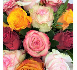Roses couleurs variées