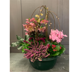 Coupe de plantes extérieure 