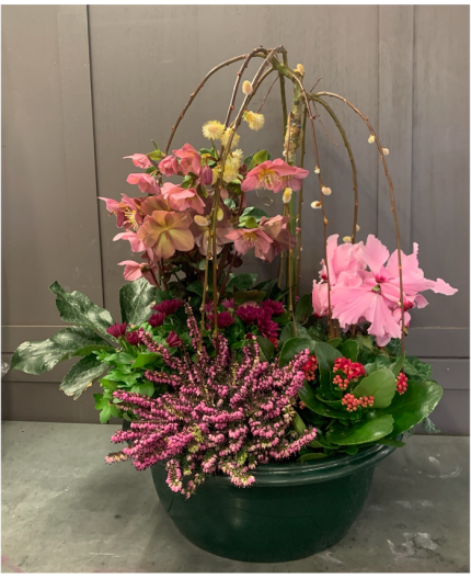 Coupe de plantes extérieure 