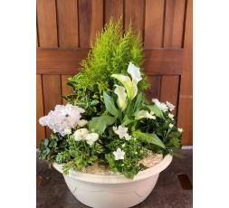 Coupe de plantes blanche