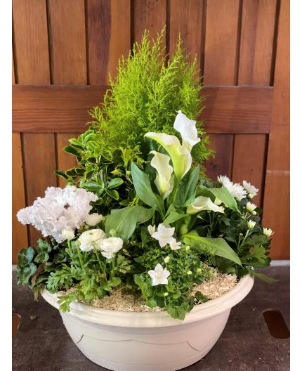 Coupe de plantes blanche