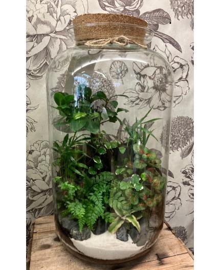 Terrarium