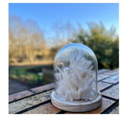 Cloche de fleurs séchées