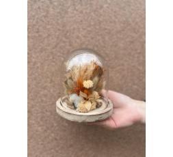 Cloche de fleurs séchées ton orangés