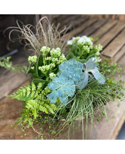 Coupe de plantes Intérieur