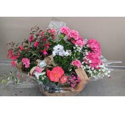 Coupe de plantes Souvenir