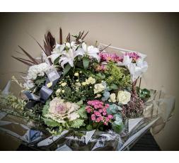 Coupe de plantes Floral