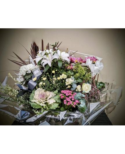 Coupe de plantes Floral