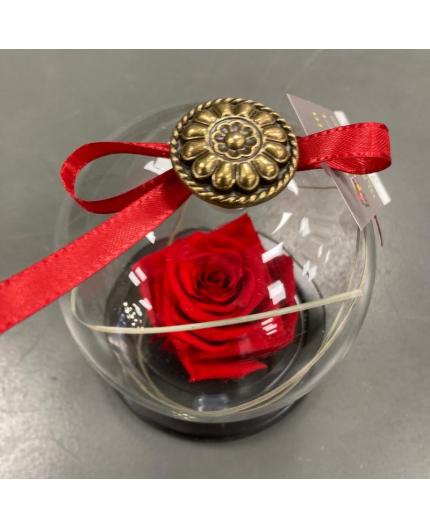 Petite cloche élégante avec dorure