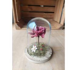 CLOCHE GARDENIA ETERNEL