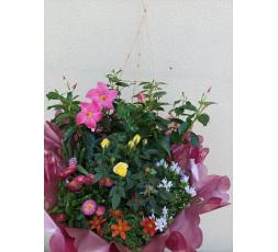 Coupe de plantes Floral