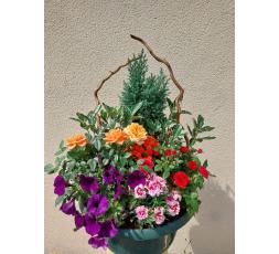 Coupe de plantes floral