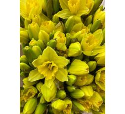 Brassée de jonquilles 