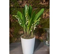 Muguet en pot 6 brins - du 28 avril au 2 mai