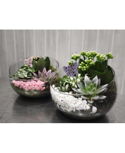 rêve en vert ou rose