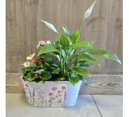 Jardinière de plantes fleuries