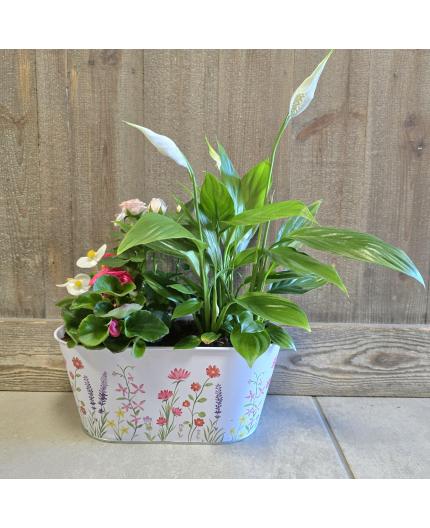 Jardinière de plantes fleuries