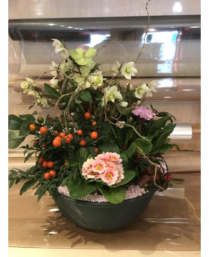 Coupe de plantes Floral