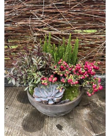 Coupe de plantes Floral
