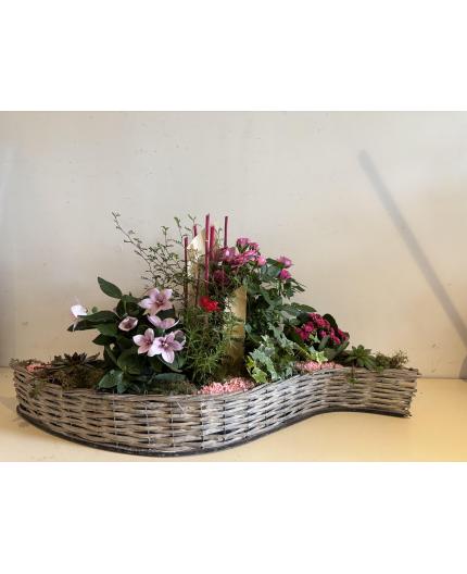Vague de plantes 