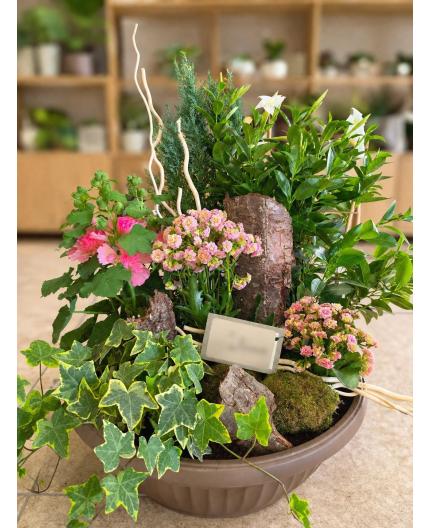 Coupe de plantes Souvenir