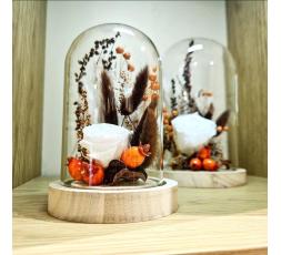 Cloche