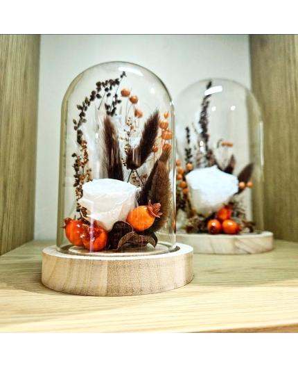 Cloche