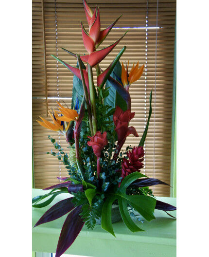 Belle composition florale tropicale