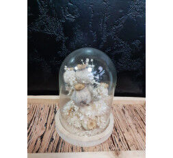 Cloche fleurs  séchées 