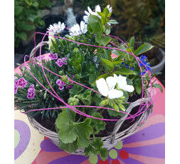 Jardin de plantes extérieures panier osier