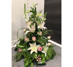 Raquette en hauteur - Nature