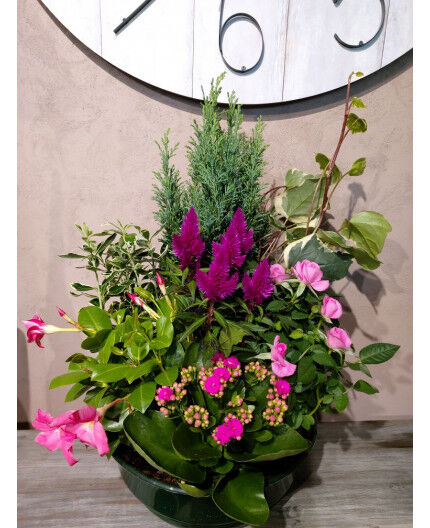 Coupe de plantes extérieur