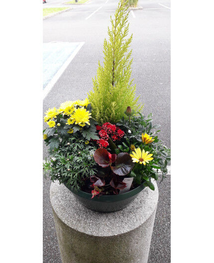 Coupe de plantes extérieure