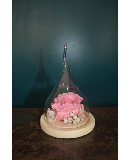 Rose stabilisée rose