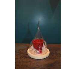 Rose stabilisée rouge