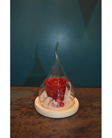 Rose stabilisée rouge