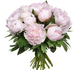 Bouquet de pivoines
