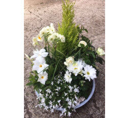 Composition de plantes extérieures