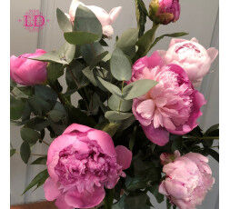 Bouquet de pivoines