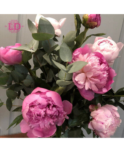 Bouquet de pivoines