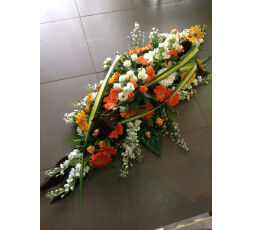 Dessus de cercueil 14A