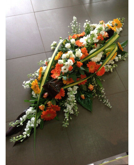 Dessus de cercueil 14A