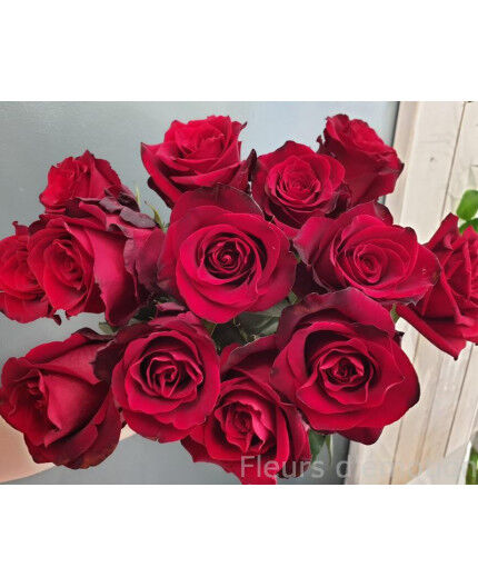 Roses rouges