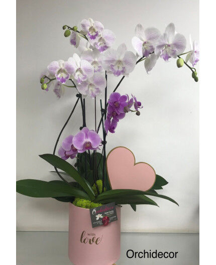 Coffret poudré glamour 