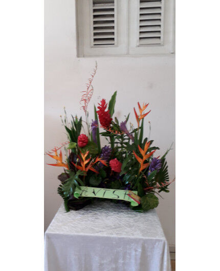 Devant de cercueil Demi lune Tropicale