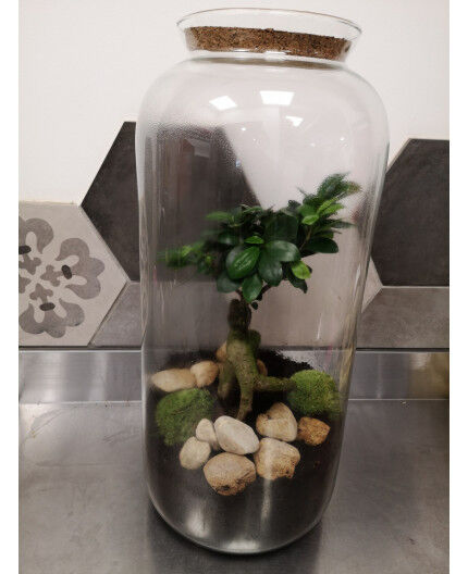 Terrarium