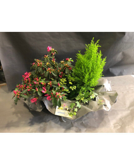 Fleurissement de tombe : 6 fois par an