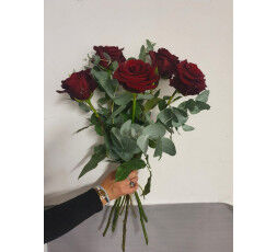 ROSES ROUGE ÉQUATEUR 